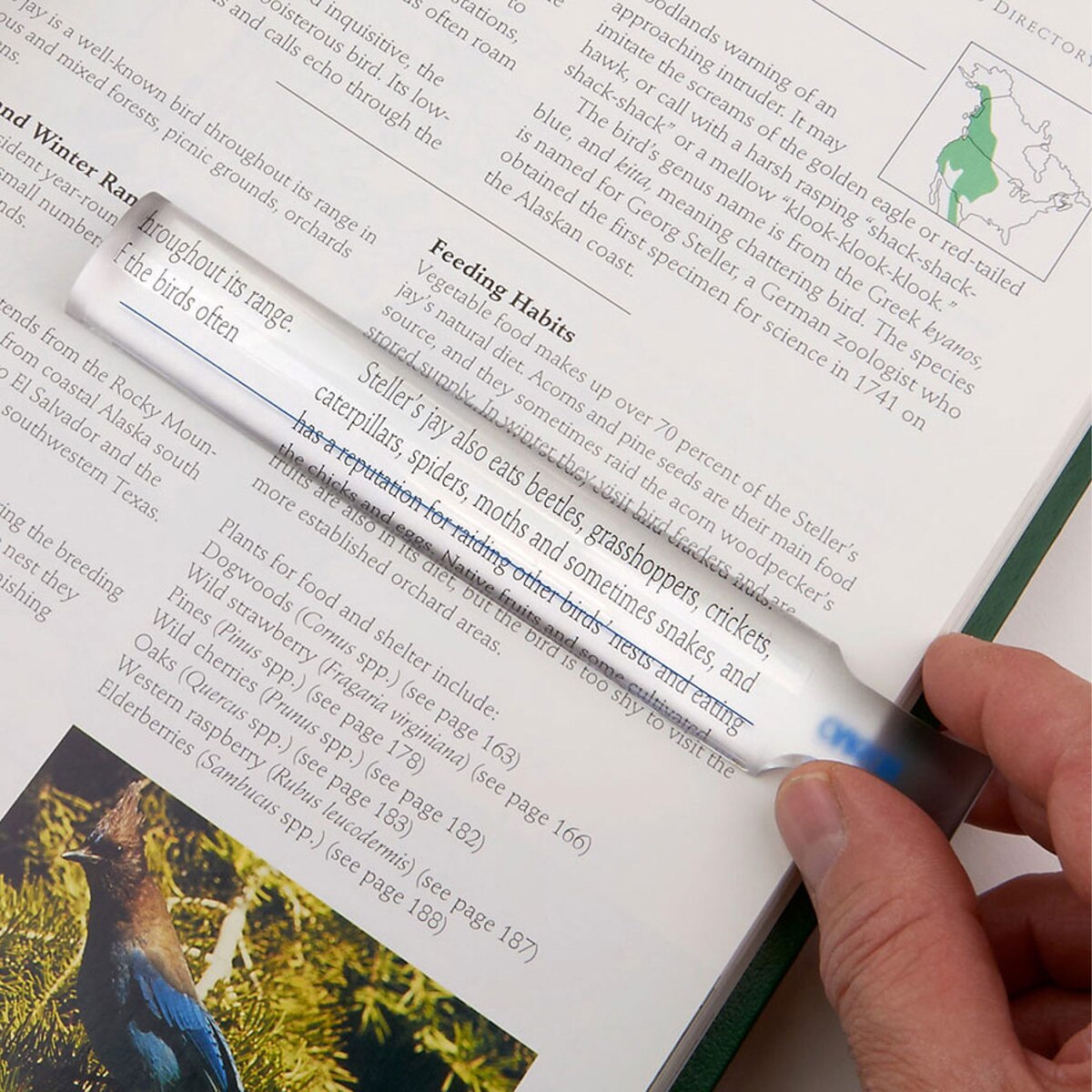 Carson MagniRead™ 1.5x Bar Magnifier